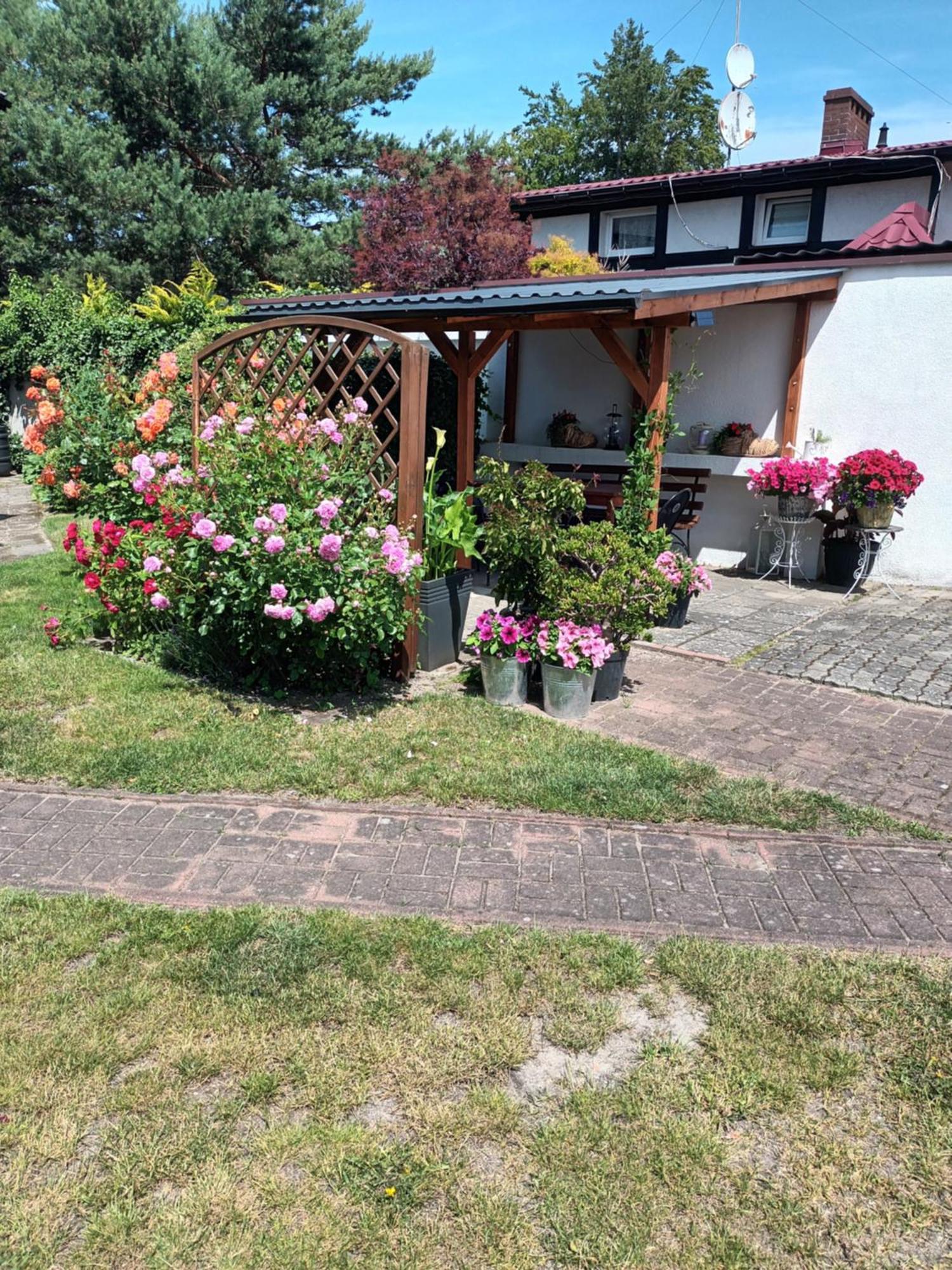 Roze Ustka