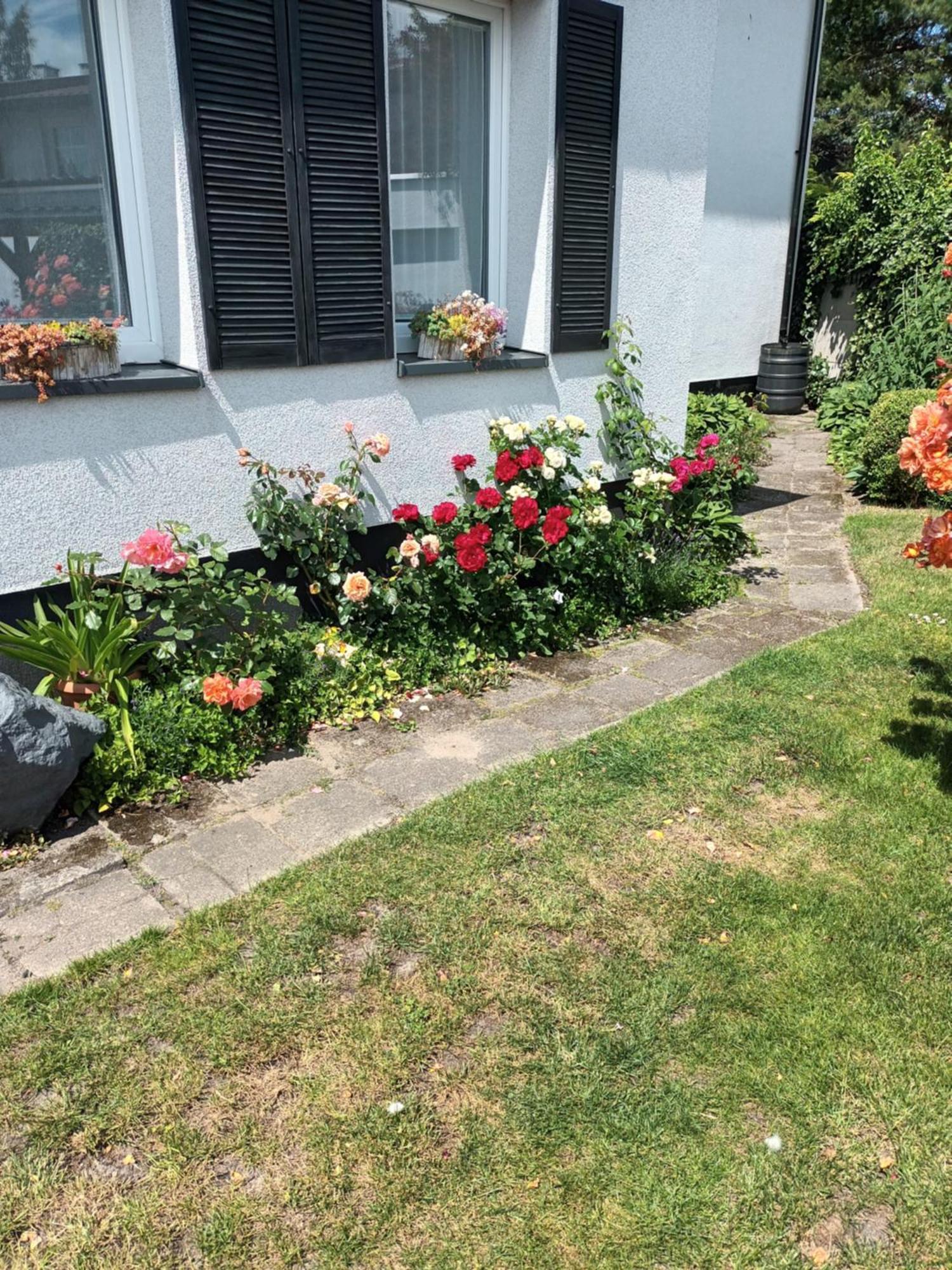 Roze Apartment