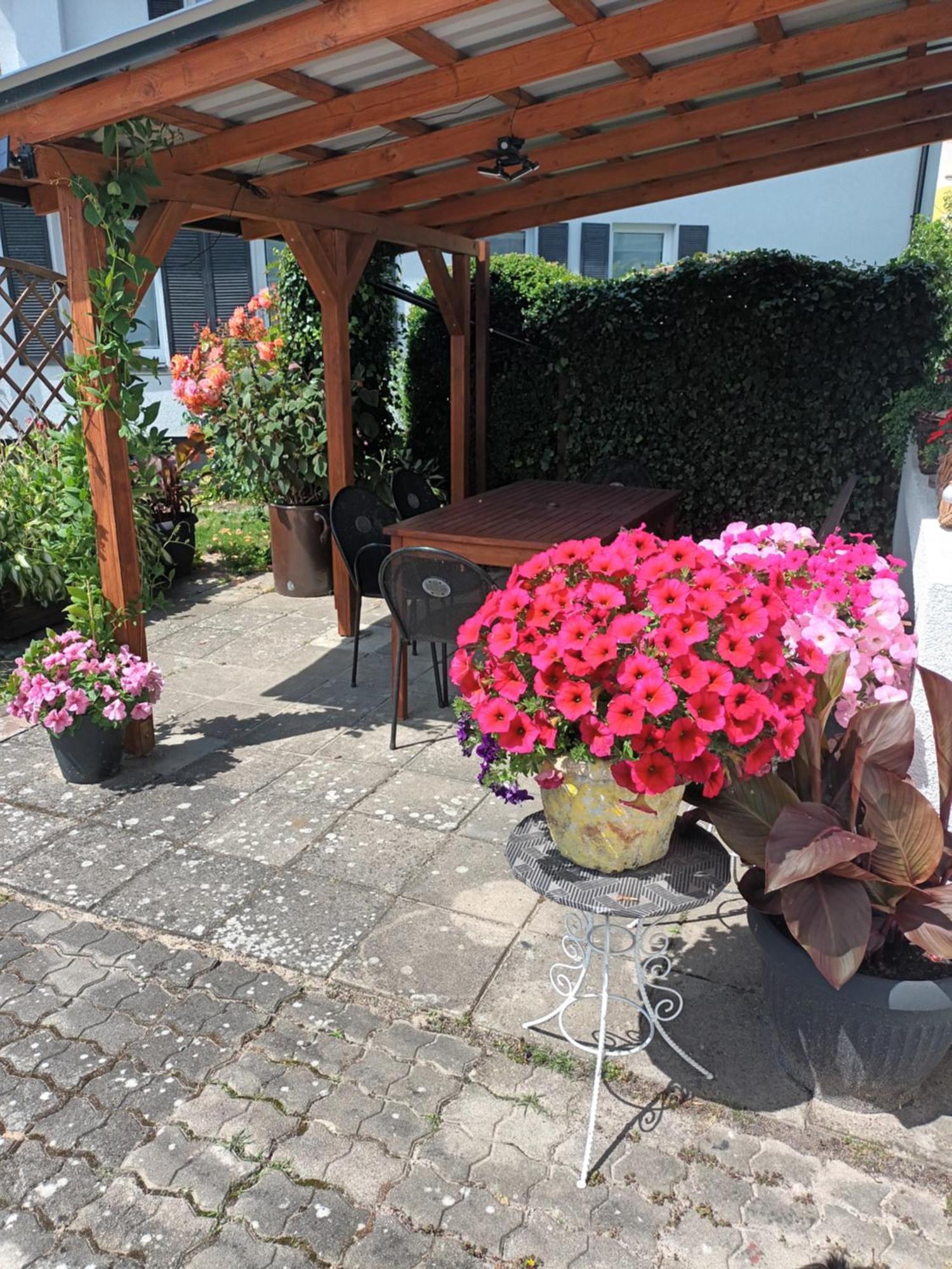 Roze * Ustka